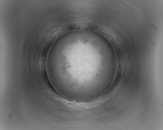 X0000112810034200908211154