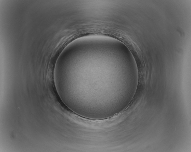 X0000112810035200908211154