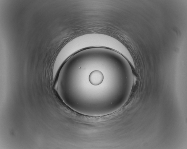 X0000112810037200908211154