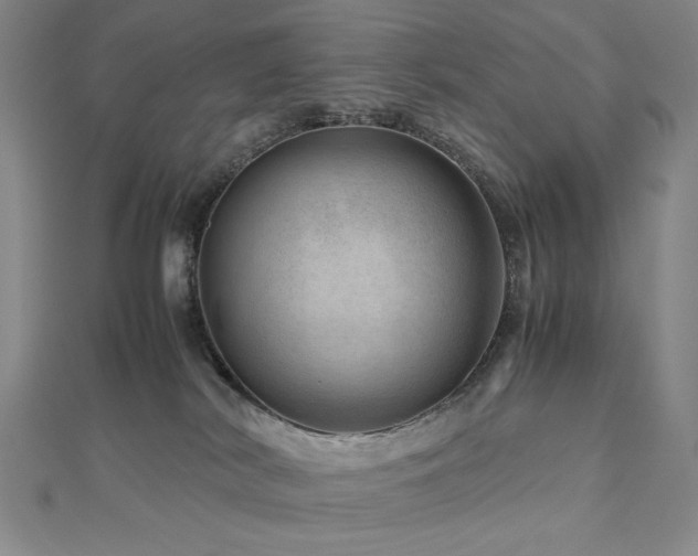 X0000112810038200908211154