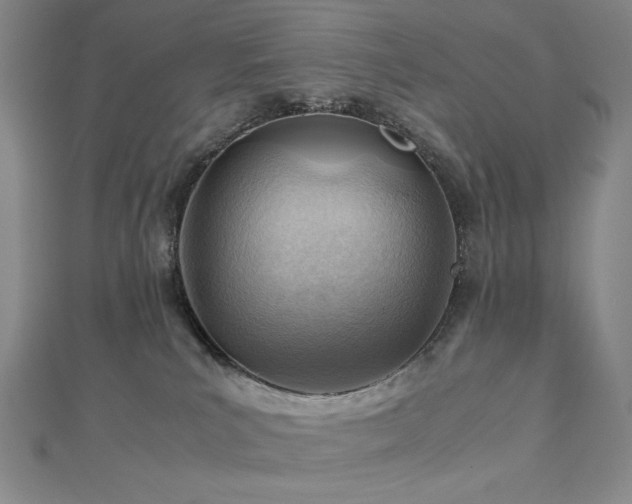 X0000112810039200908211154