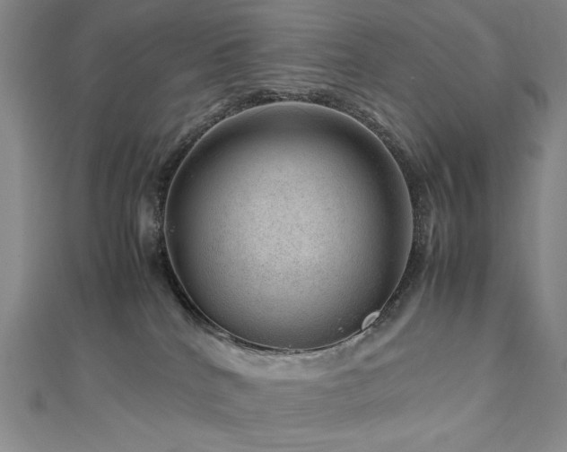 X0000112810040200908211154