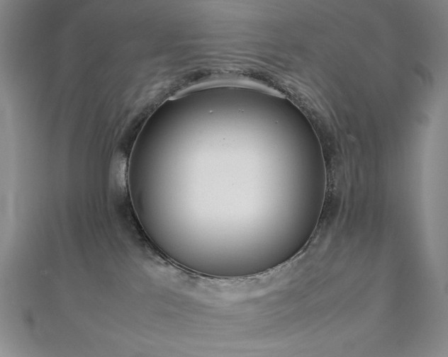 X0000112810041200908211154