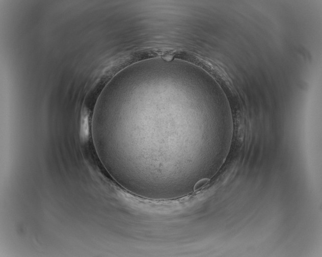 X0000112810042200908211154