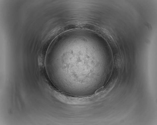 X0000112810044200908211154