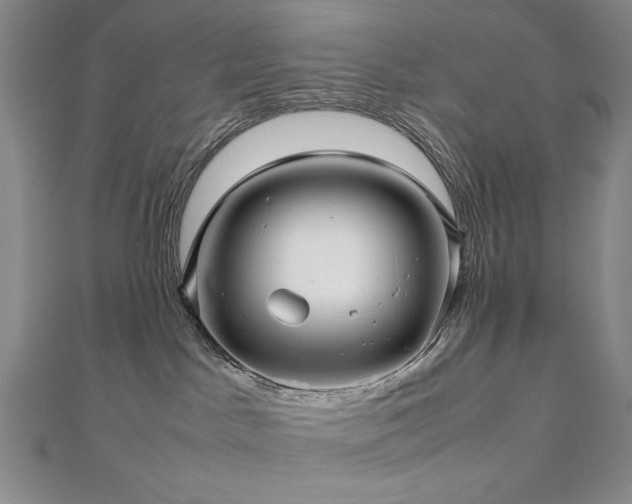 X0000112810045200908211154