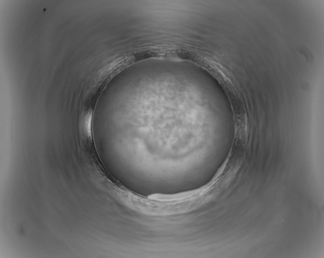 X0000112810047200908211153