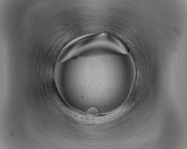 X0000112810048200908211153