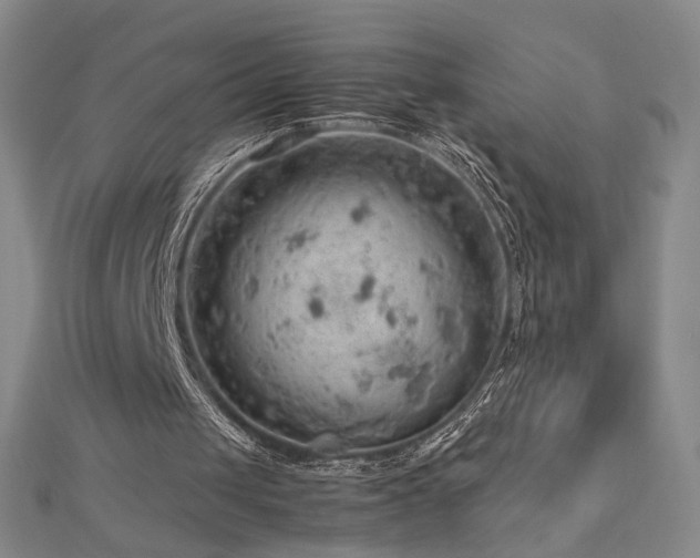 X0000112810049200908211153