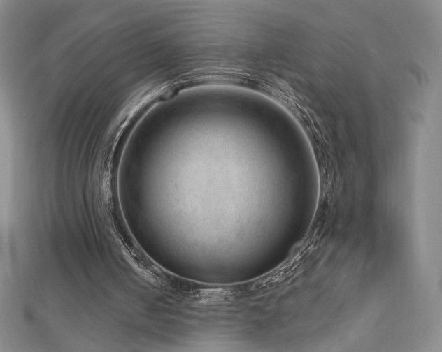 X0000112810050200908211153