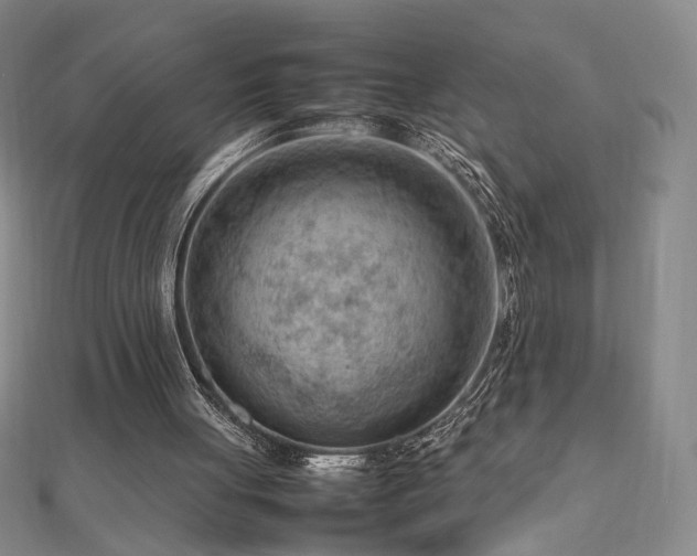 X0000112810051200908211153