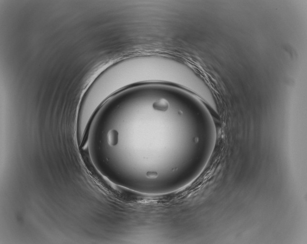 X0000112810052200908211153