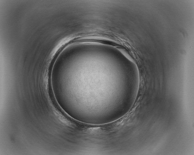 X0000112810054200908211153