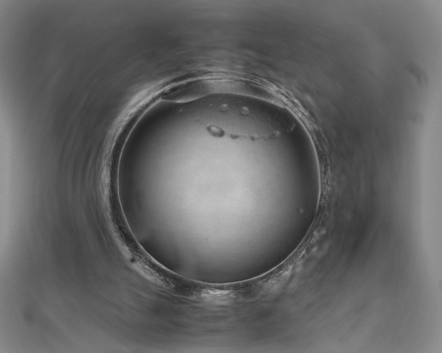 X0000112810055200908211153
