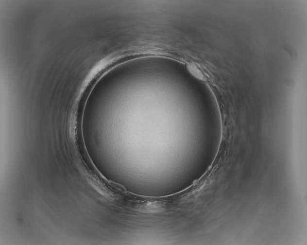 X0000112810056200908211153