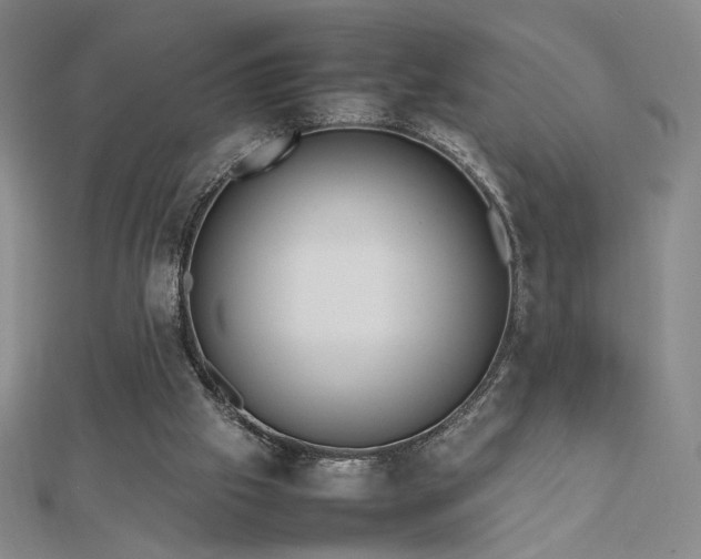X0000112810057200908211153
