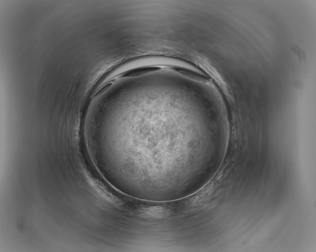 X0000112810058200908211153