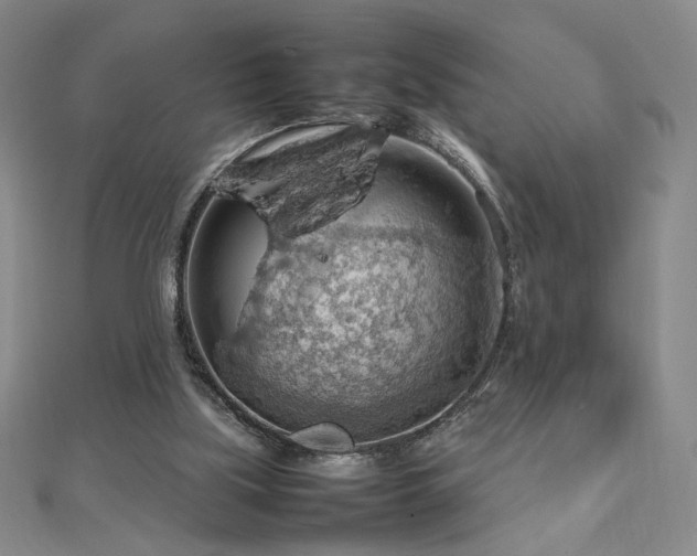 X0000112810059200908211153