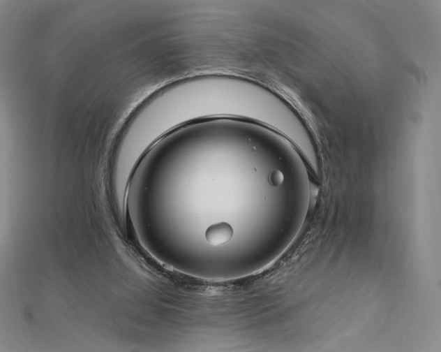 X0000112810060200908211153