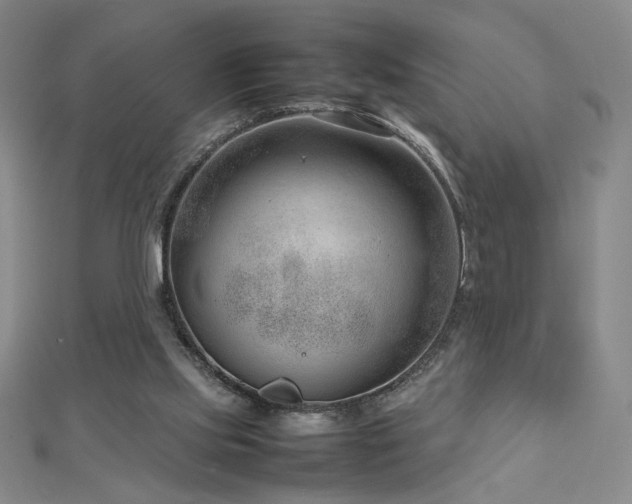 X0000112810061200908211153