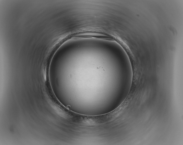 X0000112810062200908211153