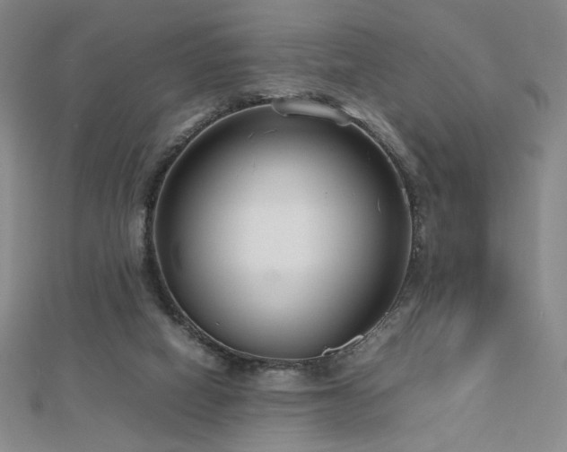 X0000112810066200908211153