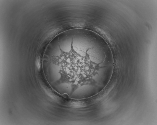 X0000112810069200908211153