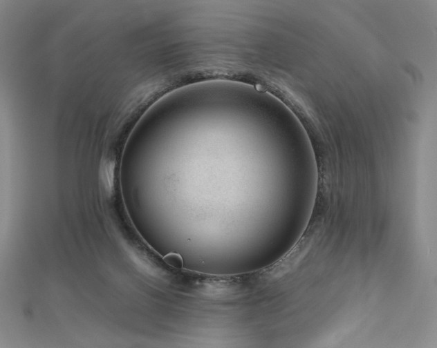 X0000112810070200908211153