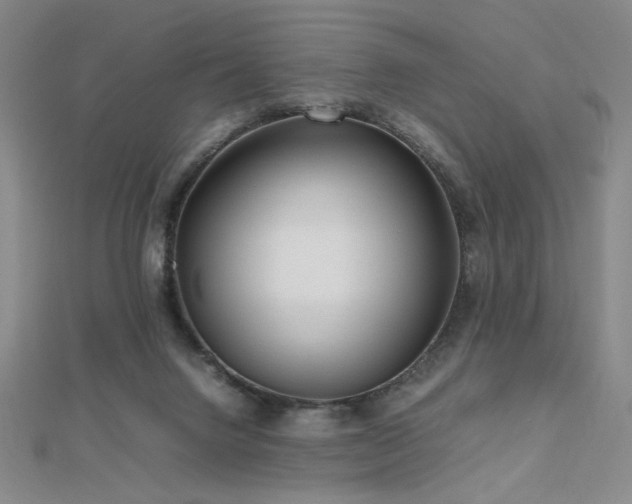X0000112810072200908211153