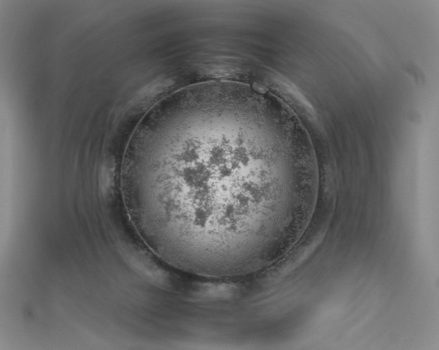 X0000112810073200908211153