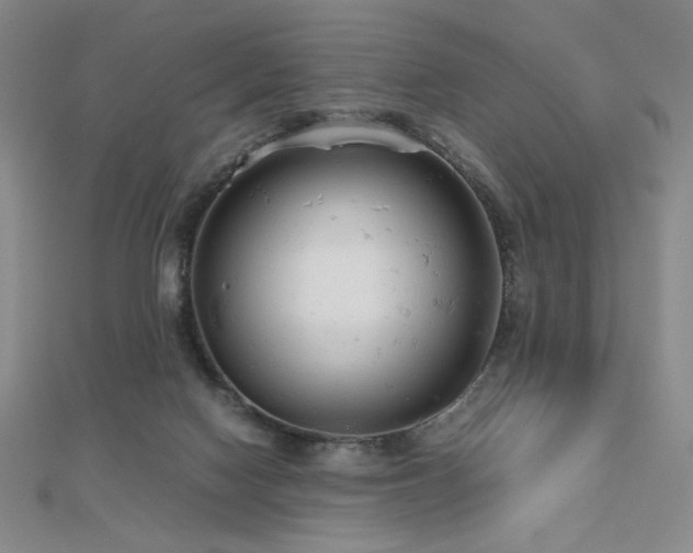 X0000112810074200908211153