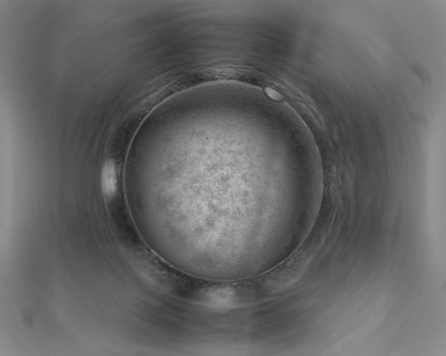 X0000112810075200908211153