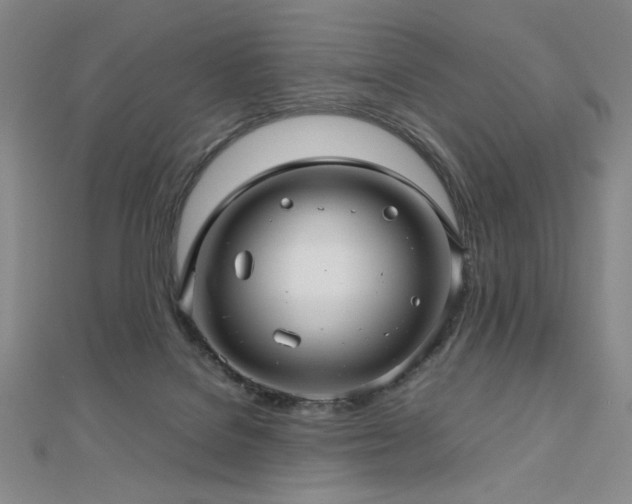 X0000112810076200908211153