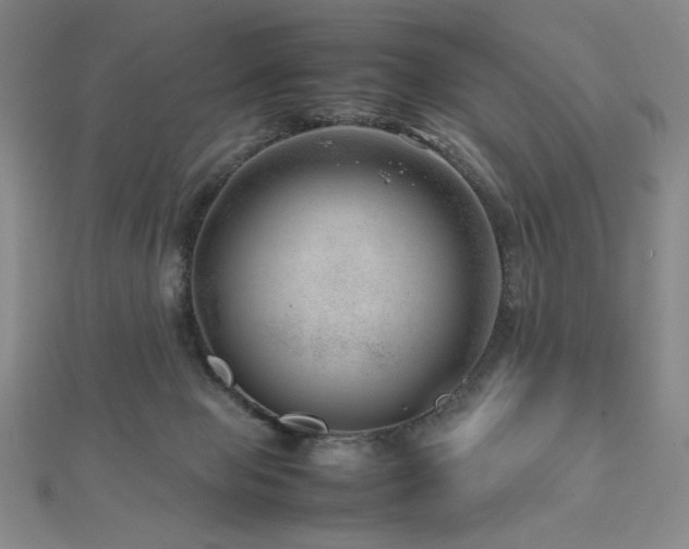 X0000112810077200908211153