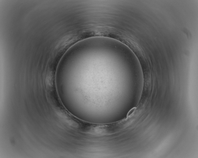 X0000112810078200908211153
