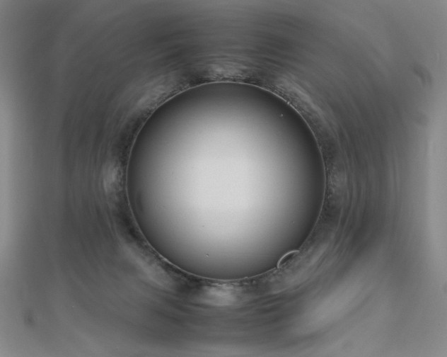 X0000112810079200908211153