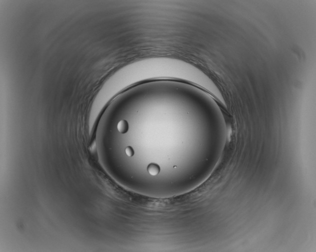 X0000112810080200908211153