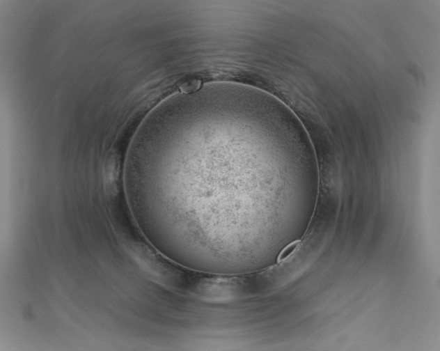 X0000112810082200908211153