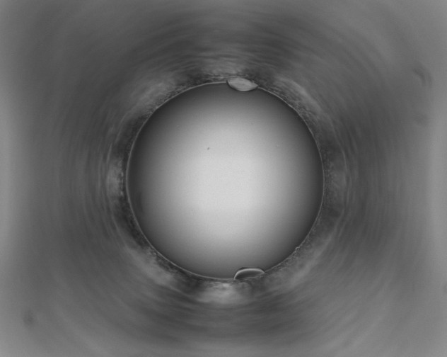 X0000112810083200908211153