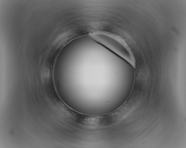 X0000112810084200908211153