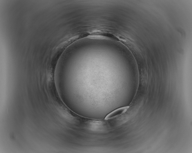 X0000112810085200908211153