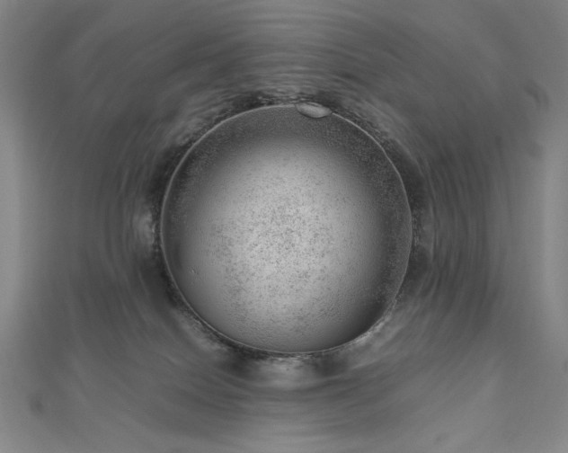X0000112810086200908211153