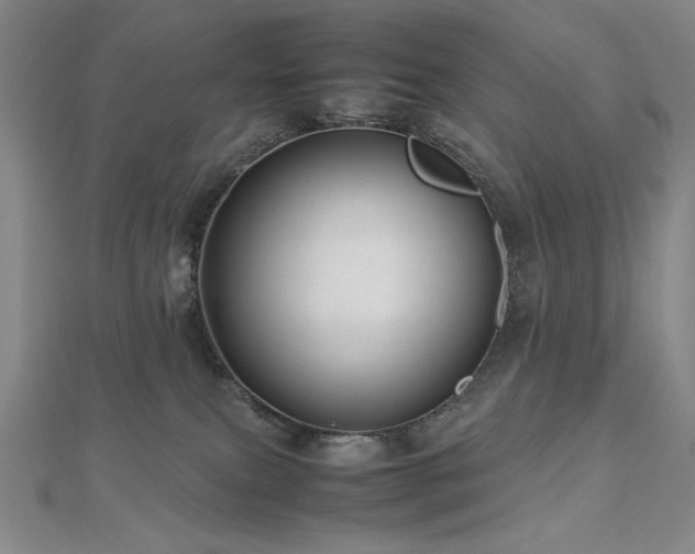 X0000112810087200908211153