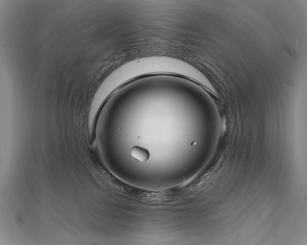 X0000112810088200908211153