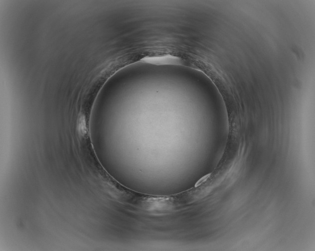 X0000112810089200908211153