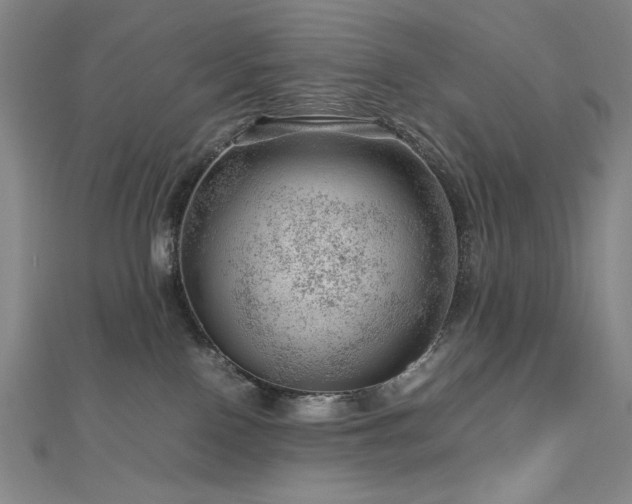 X0000112810090200908211153
