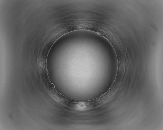 X0000112810091200908211153