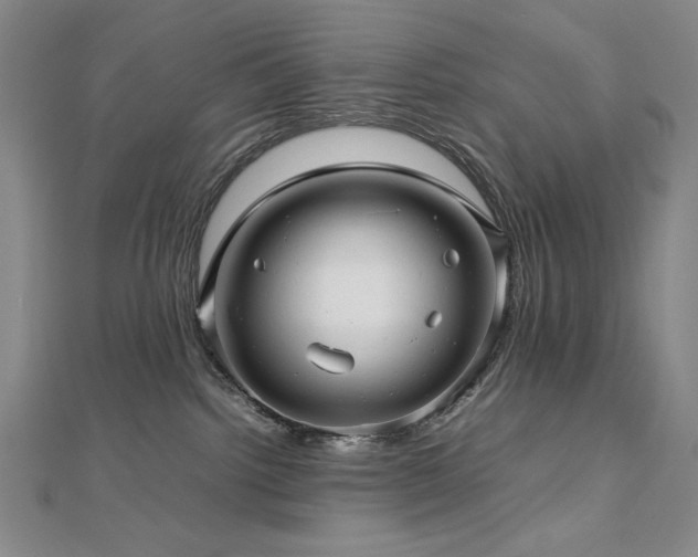 X0000112810092200908211153