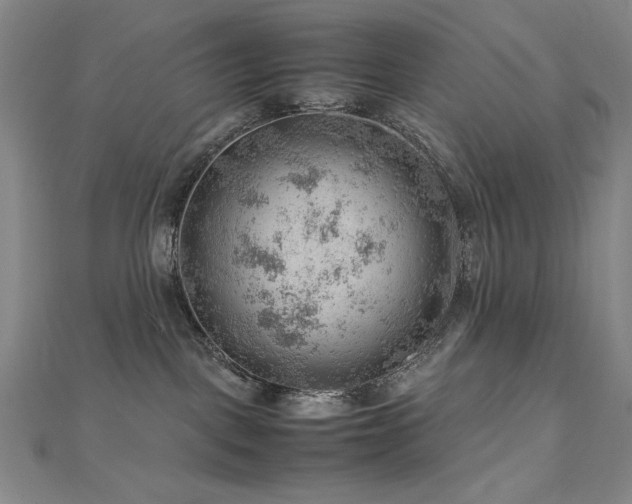 X0000112810093200908211153