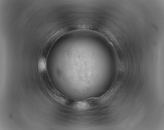 X0000112810095200908211153